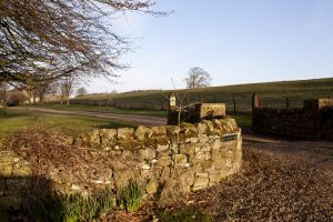 barnard castle ox pasture farm 8 sm.jpg